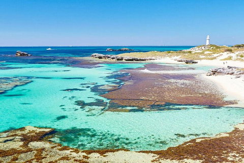 Rottnest Island Bayseeker Day Trip From Perth - Accommodation Ballina 4