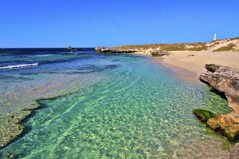 Rottnest Island Bayseeker Day Trip From Perth - Accommodation Ballina 5