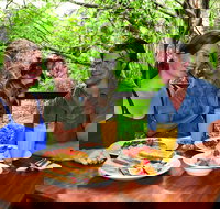 Breakfast with the Koalas at Hartley's Crocodile Park from Cairns or Palm Cove - Accommodation Ballina