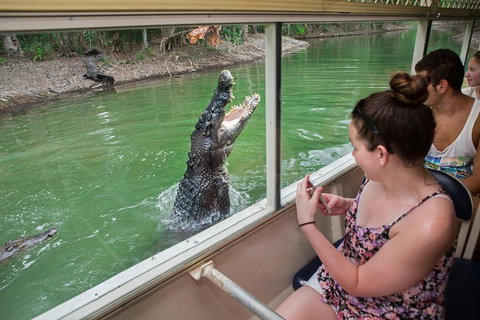 Hartley's Crocodile Adventures Day Trip From Cairns - Accommodation Ballina 3