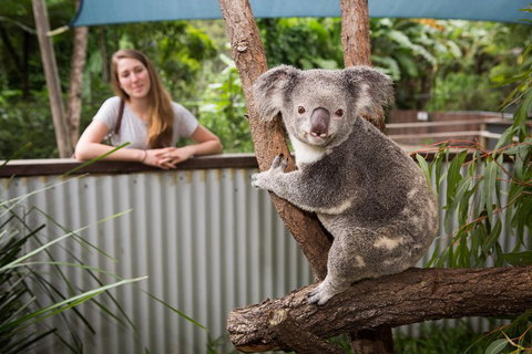 Hartley's Crocodile Adventures Day Trip From Cairns - Accommodation Ballina 5