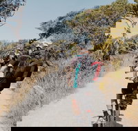 Self-Guided Point Nepean National Park Bike Hire - Accommodation Ballina