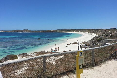 Wave Rock, Pinnacles And Rottnest One Day Aeroplane Tour - Accommodation Ballina 2