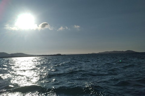 Townsville Small Group Early Morning Sailing Cruise Boat Tour Charter Hire - Accommodation Ballina 4