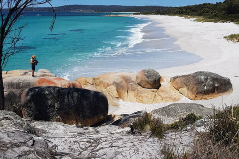 2-Day Tas East Coast Escape Tour Including Bay Of Fires, Wineglass Bay & Devils - Accommodation Ballina 4