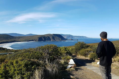 4-Day Fabulous Tasmania Tour: Wineglass Bay, Port Arthur, Devils & Bruny Island - Accommodation Ballina 0