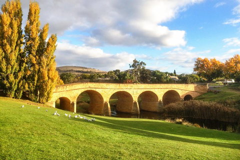 4-Day Fabulous Tasmania Tour: Wineglass Bay, Port Arthur, Devils & Bruny Island - Accommodation Ballina 1