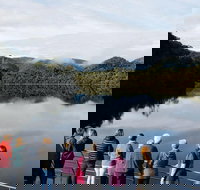 Gordon River Cruise departing from Strahan - Accommodation Ballina