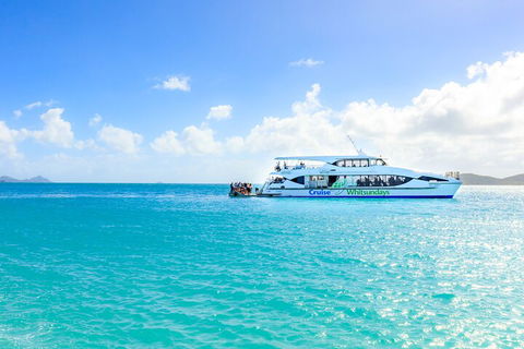 Whitehaven Beach And Daydream Island Cruise - Accommodation Ballina 2