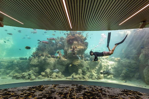 Whitehaven Beach And Daydream Island Cruise - Accommodation Ballina 4