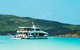 Whitehaven Beach Half-Day Cruises - thumb 5