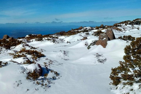 Mount Wellington Ultimate Experience Tour From Hobart - Accommodation Ballina 1