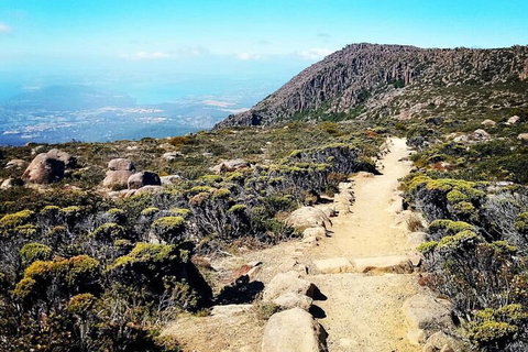 Mount Wellington Ultimate Experience Tour From Hobart - Accommodation Ballina 5