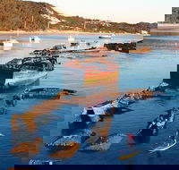 Adventure Moreton Island Wrecks Adventure Package - Accommodation Ballina