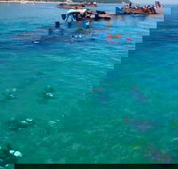 Adventure Moreton Island Scuba Dive Tour - Accommodation Ballina