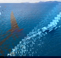 2-Night Whitsunday Islands Sailing Adventure on Trimaran Avatar - Accommodation Ballina