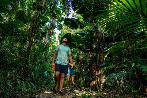 Full Day Daintree Rainforest And Mossman Gorge Tour - Accommodation Ballina 0