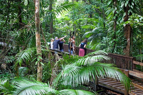 Full Day Daintree Rainforest And Mossman Gorge Tour - Accommodation Ballina 1