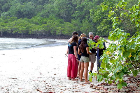 Full Day Daintree Rainforest And Mossman Gorge Tour - Accommodation Ballina 2