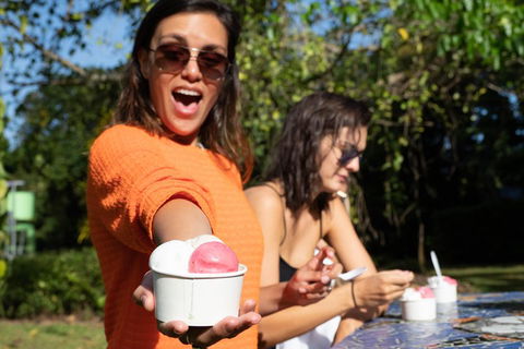 Full Day Daintree Rainforest And Mossman Gorge Tour - Accommodation Ballina 3