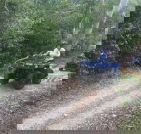 Cairns ATV Adventure Tour and Morning Train - Accommodation Ballina