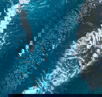 Cygnet Bay Explorer - Accommodation Ballina