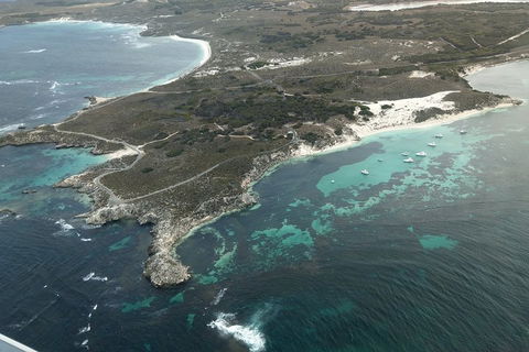 Full Day Tour By Seaplane To Rottnest Island Small Group Trip - Accommodation Ballina 5