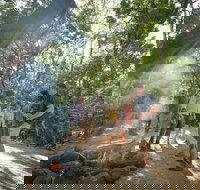 Mossman Gorge Adventure Day - Accommodation Ballina