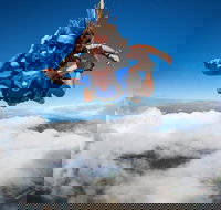 Reef and Rainforest Tandem Sky Dive in Cairns - Accommodation Ballina