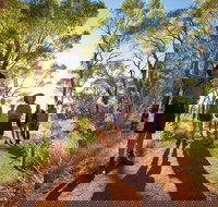 Uluru Small Group Tour including Sunset - Accommodation Ballina