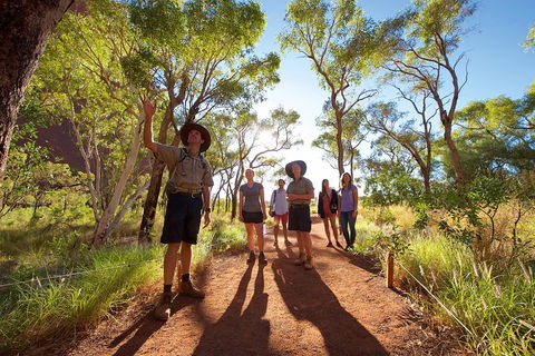 Uluru Small Group Tour Including Sunset - Accommodation Ballina 0