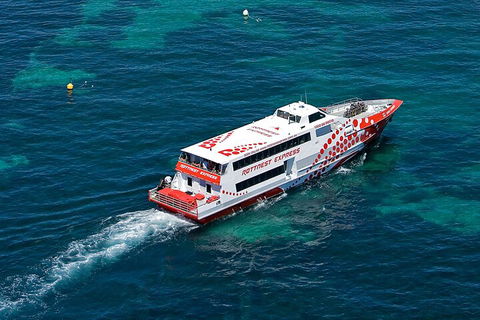 Discover Rottnest With Ferry & Bus Tour From Perth Or Fremantle - Accommodation Ballina 3