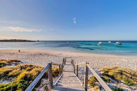 Discover Rottnest With Ferry & Bus Tour From Perth Or Fremantle - Accommodation Ballina 4