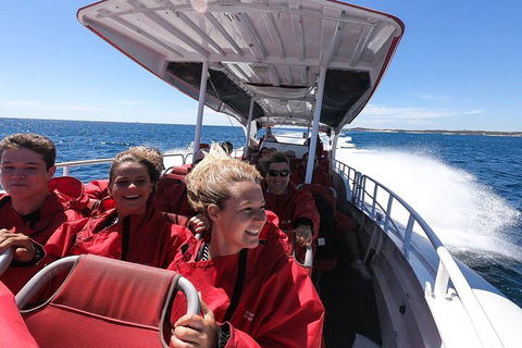 Adventure Rottnest Tour With Ferry & Adventure Cruise From Perth Or Fremantle - Accommodation Ballina 0