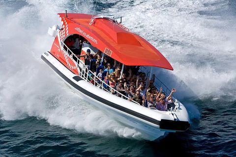 Adventure Rottnest Tour With Ferry & Adventure Cruise From Perth Or Fremantle - Accommodation Ballina 2