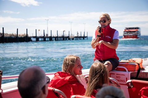 Adventure Rottnest Tour With Ferry & Adventure Cruise From Perth Or Fremantle - Accommodation Ballina 4