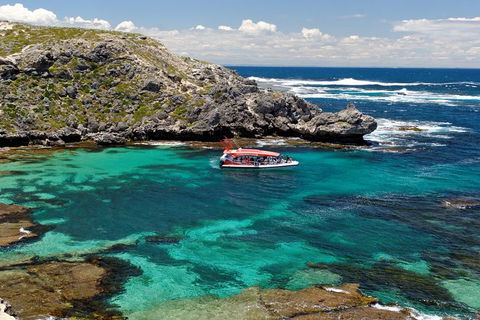 Adventure Rottnest Tour With Ferry & Adventure Cruise From Perth Or Fremantle - Accommodation Ballina 5