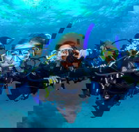 Great Barrier Reef Diving and Snorkeling Cruise from Cairns - Accommodation Ballina