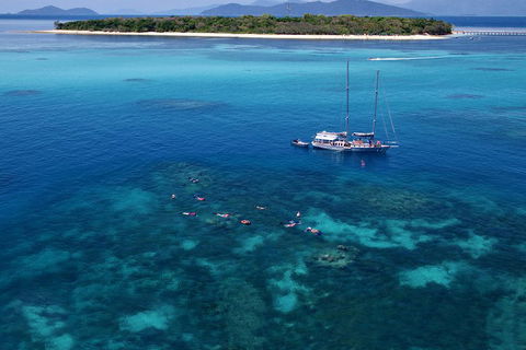 Ocean Free Green Island & Great Barrier Reef Snorkel Cruise, Cairns 25 Guests - Accommodation Ballina 2