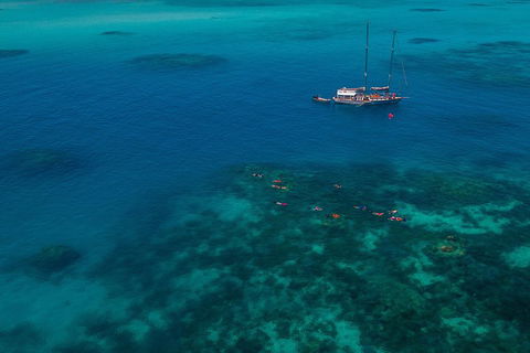 Ocean Free Green Island & Great Barrier Reef Snorkel Cruise, Cairns 25 Guests - Accommodation Ballina 5
