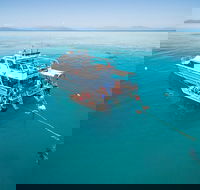 Ocean Freedom Great Barrier Reef Personal Luxury Snorkel  Dive Cruise Cairns - Accommodation Ballina