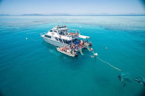 Ocean Freedom Great Barrier Reef Personal Luxury Snorkel & Dive Cruise, Cairns - Accommodation Ballina 0