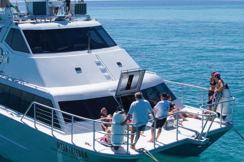Ocean Freedom Great Barrier Reef Personal Luxury Snorkel & Dive Cruise, Cairns - Accommodation Ballina 1