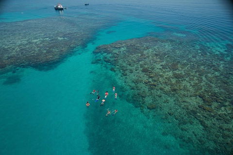 Ocean Freedom Great Barrier Reef Personal Luxury Snorkel & Dive Cruise, Cairns - Accommodation Ballina 3