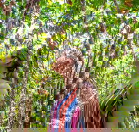 5 Day Australia Retreat Queensland Daintree - Accommodation Ballina