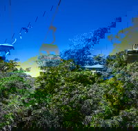 Classic Kuranda by Skyrail and Scenic Railway Including Rainforestation Koala and Wildlife Park and Pamagirri Aboriginal Experi - Accommodation Ballina