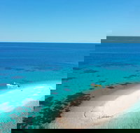 Ocean Safari Great Barrier Reef Experience in Cape Tribulation - Accommodation Ballina