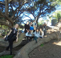 1/2 day Swan Valley Wine Cheese  Chocolate Tour Inc Afternoon Cruise to Perth