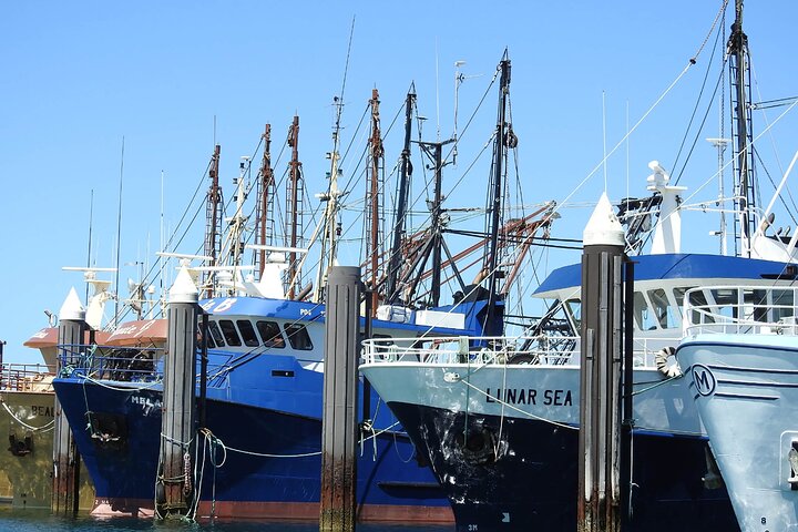  Accommodation Ballina