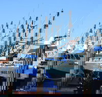 One Day Port Lincoln Tour - Tasting Eyre - Accommodation Ballina